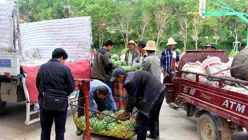 吃瓜群众视频爆料缅北,吃瓜群众视频爆料背后的真相